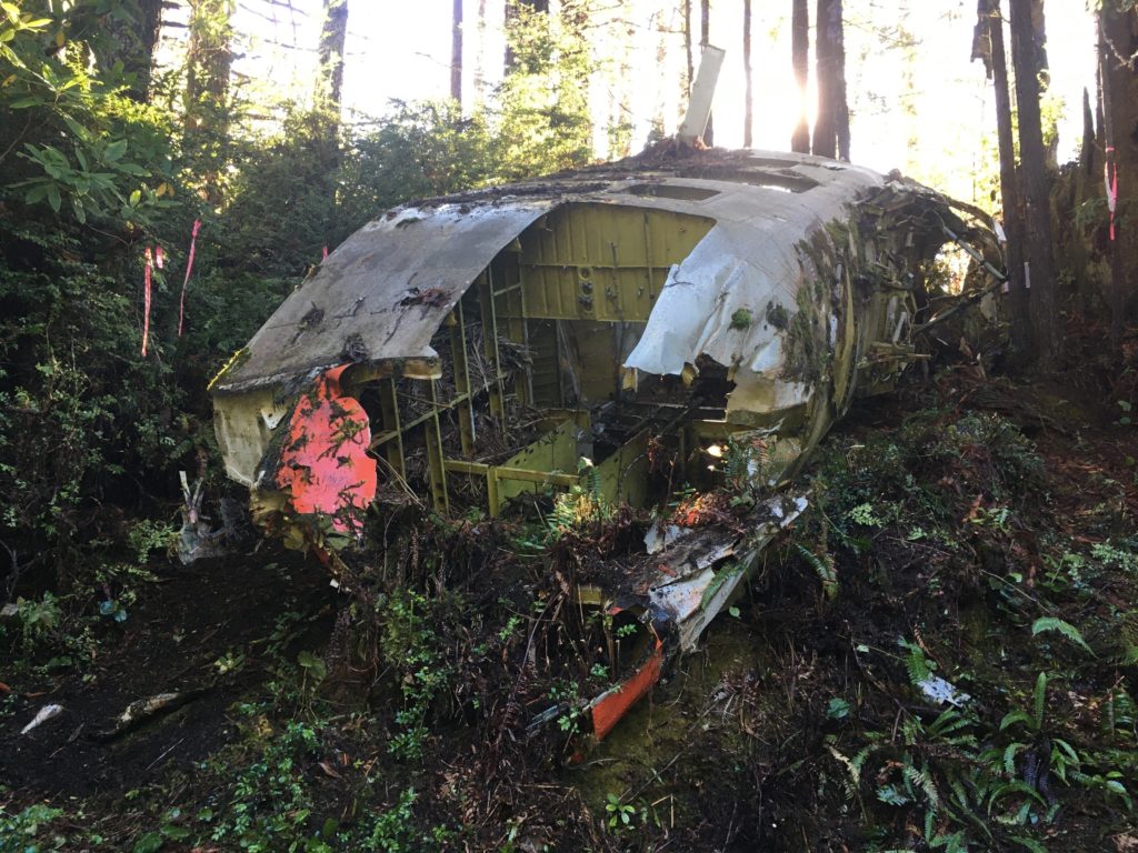 The wreckage of CG 1363, an HH-52 Seaguard helicopter that crashed during a severe storm while conducting a rescue operation Dec. 22, 1964, remains in McKinleyville, Calif. 