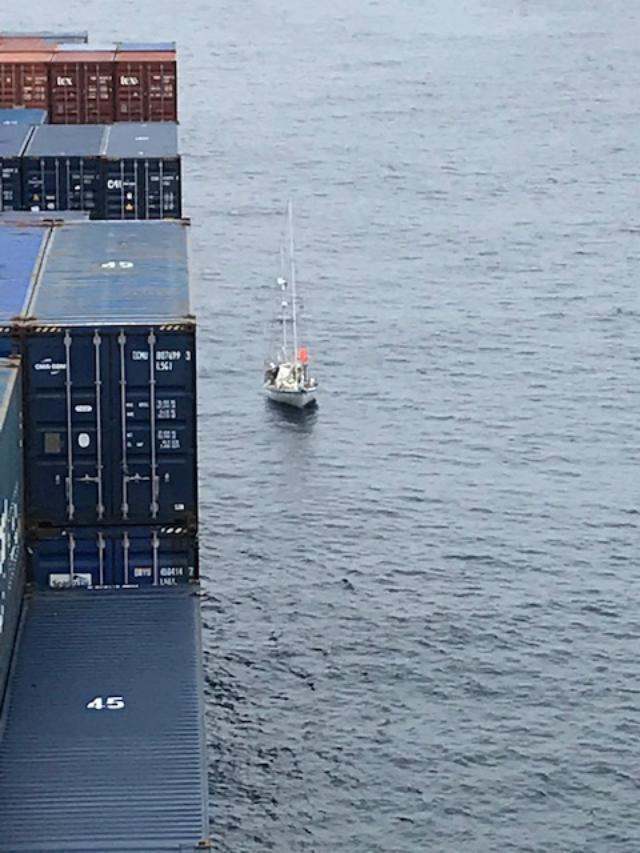 Bulk carrier cargo ship President Eisenhower crew rescued sailing vessel owner Miss Lilly