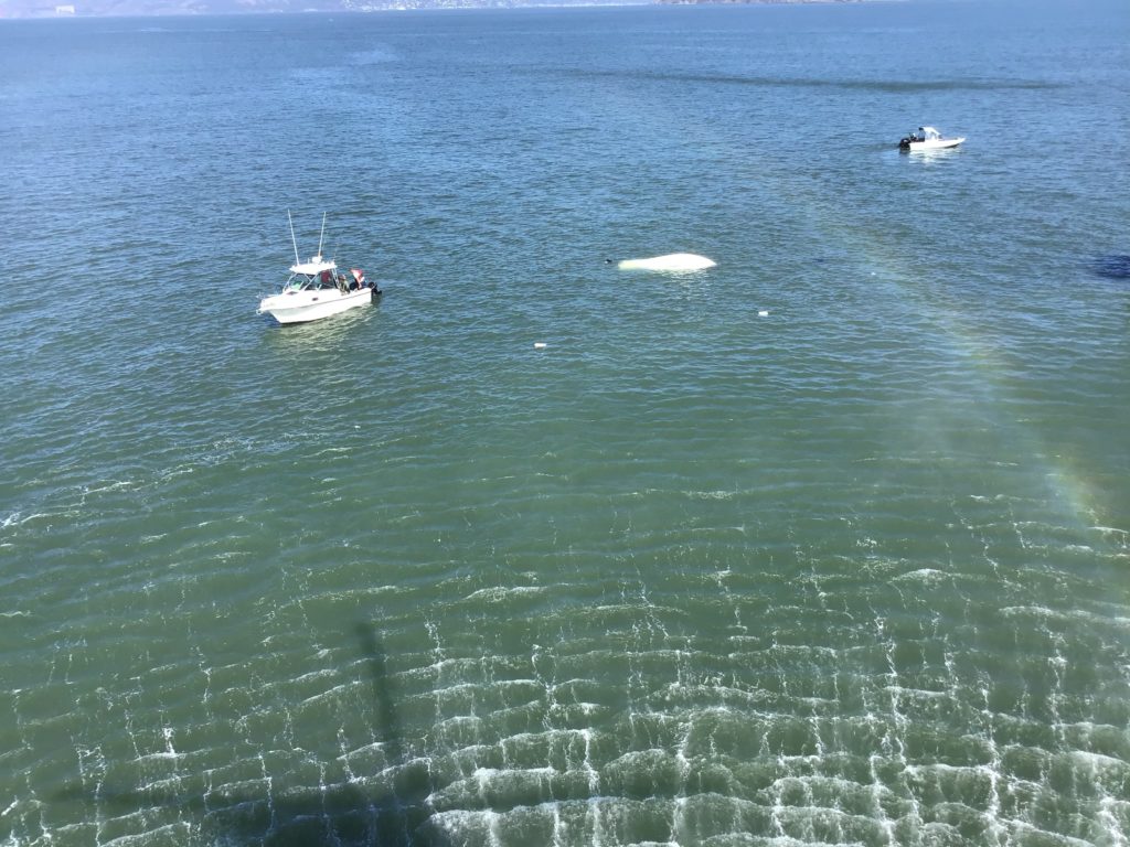 Coast Guard, partner agencies, good Samaritan rescue 3 near Treasure Island. Air Station San Francisco.
