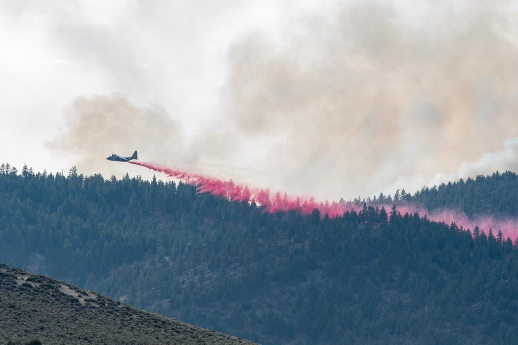 Firefly y FireGuard prolongados para extinguir Incendios forestales
