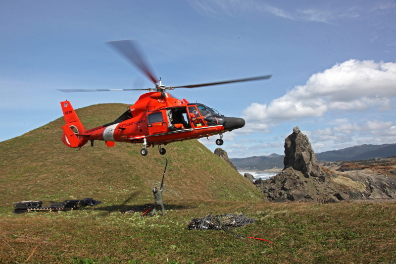 Coast Guard helicopter aircrews rescue 12 people and 3 dogs
